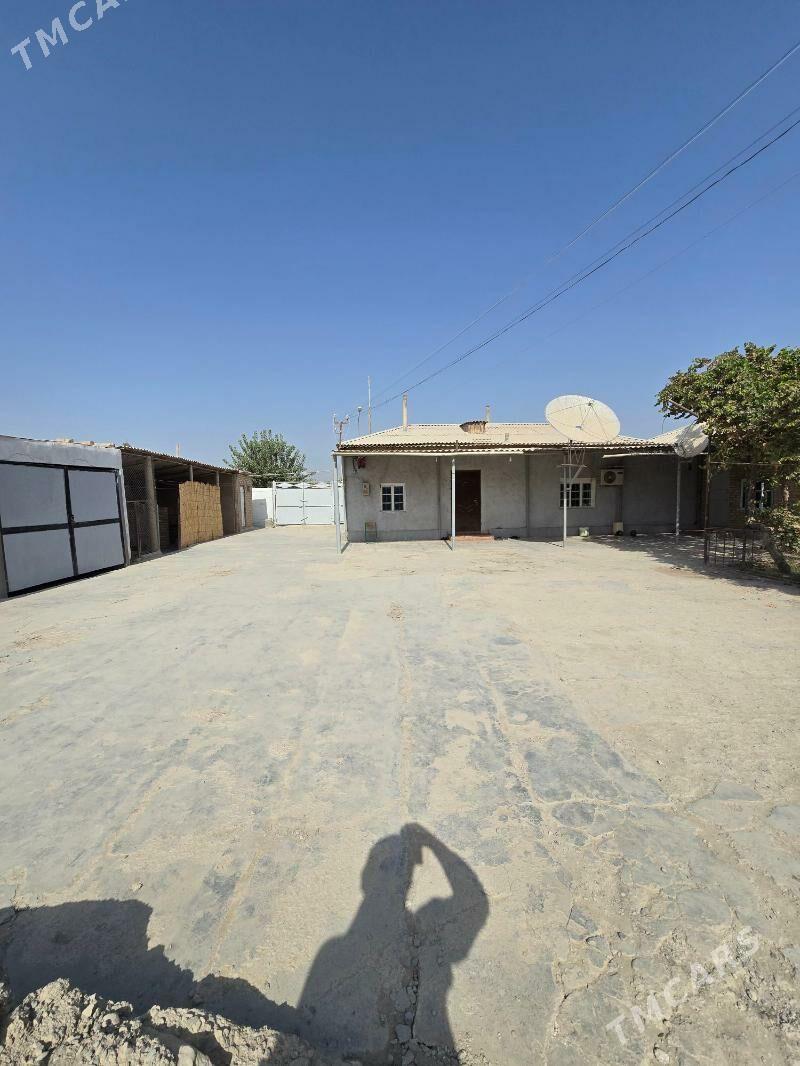 Satlyk jaý - Теджен - img 2