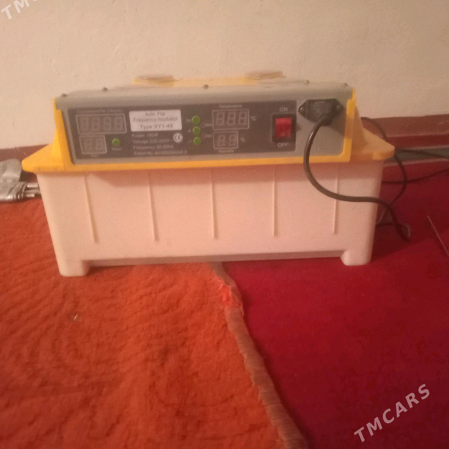 Inkowator - Köneürgenç - img 4