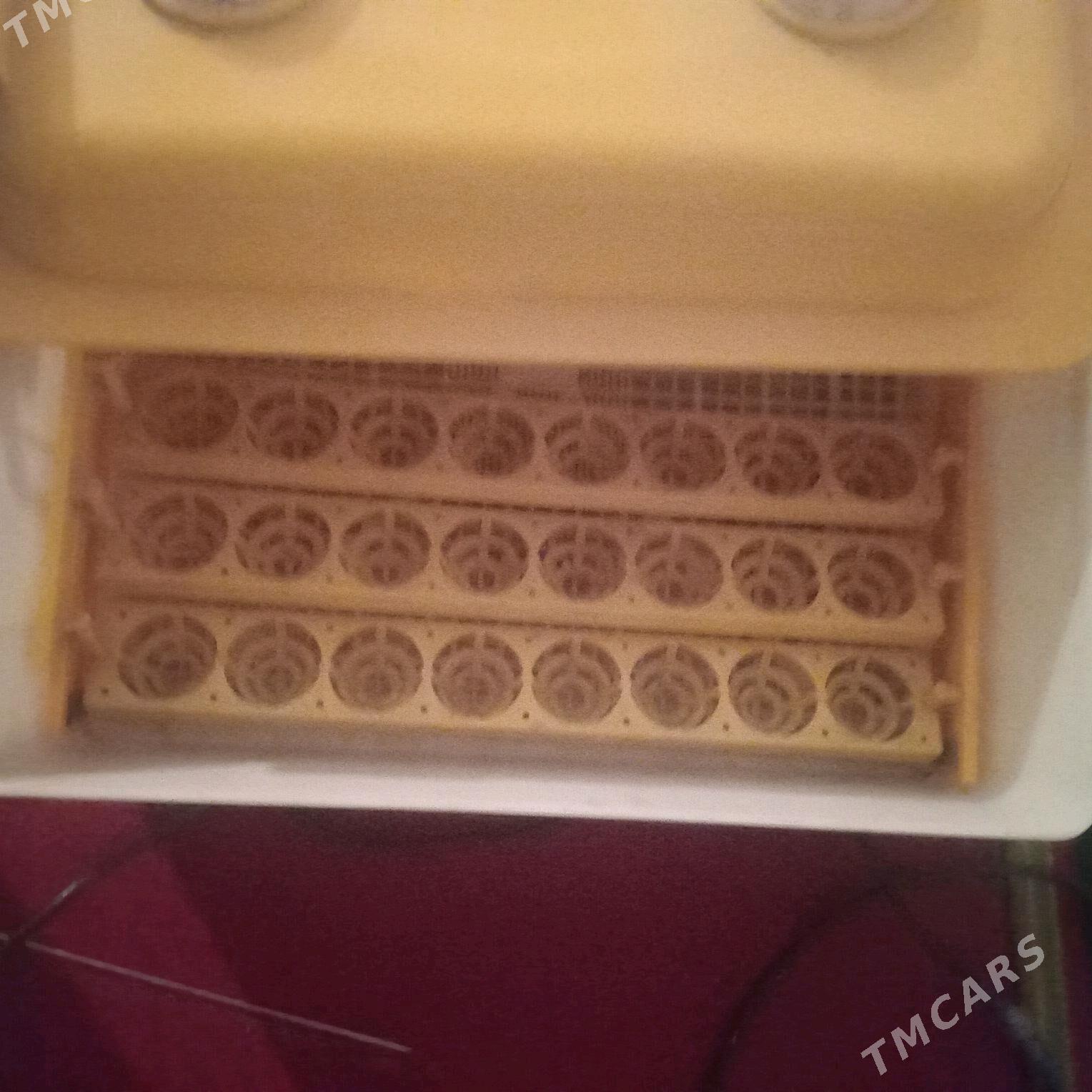 Inkowator - Köneürgenç - img 3