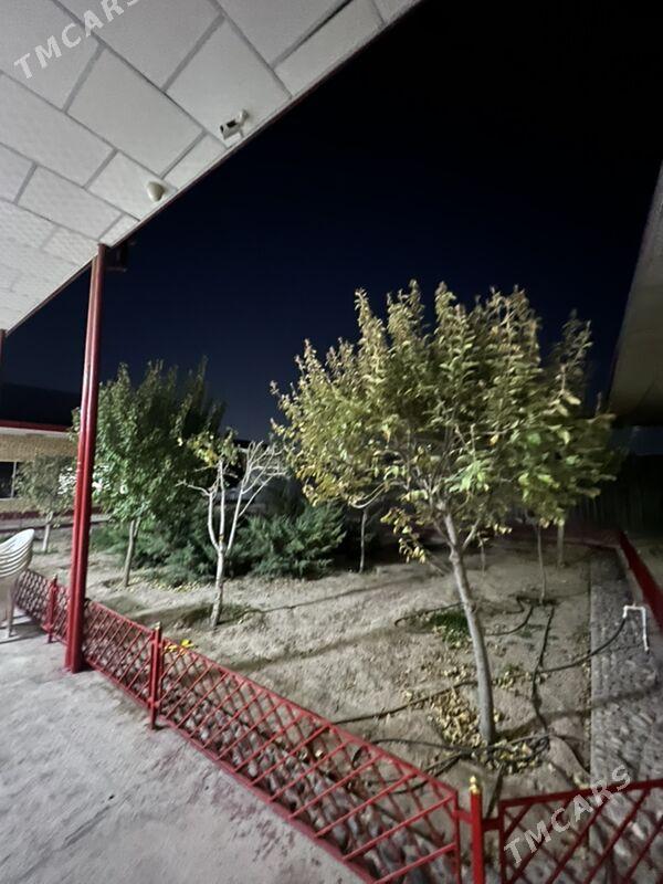 SATLYK JAY  Alp arslan koce - Mary - img 3