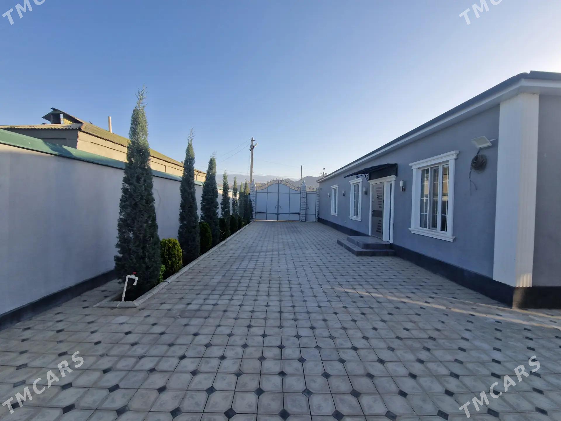 Багир миреве Bagyr mirewe - Bagyr - img 1