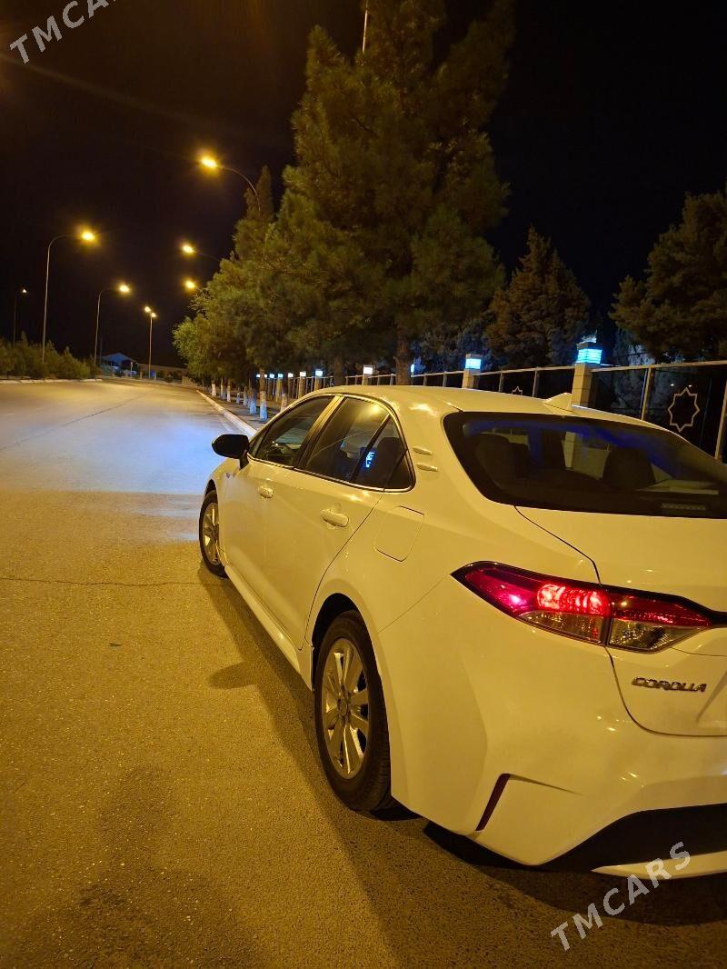 Toyota Corolla 2021 - 247 000 TMT - Büzmeýin - img 6