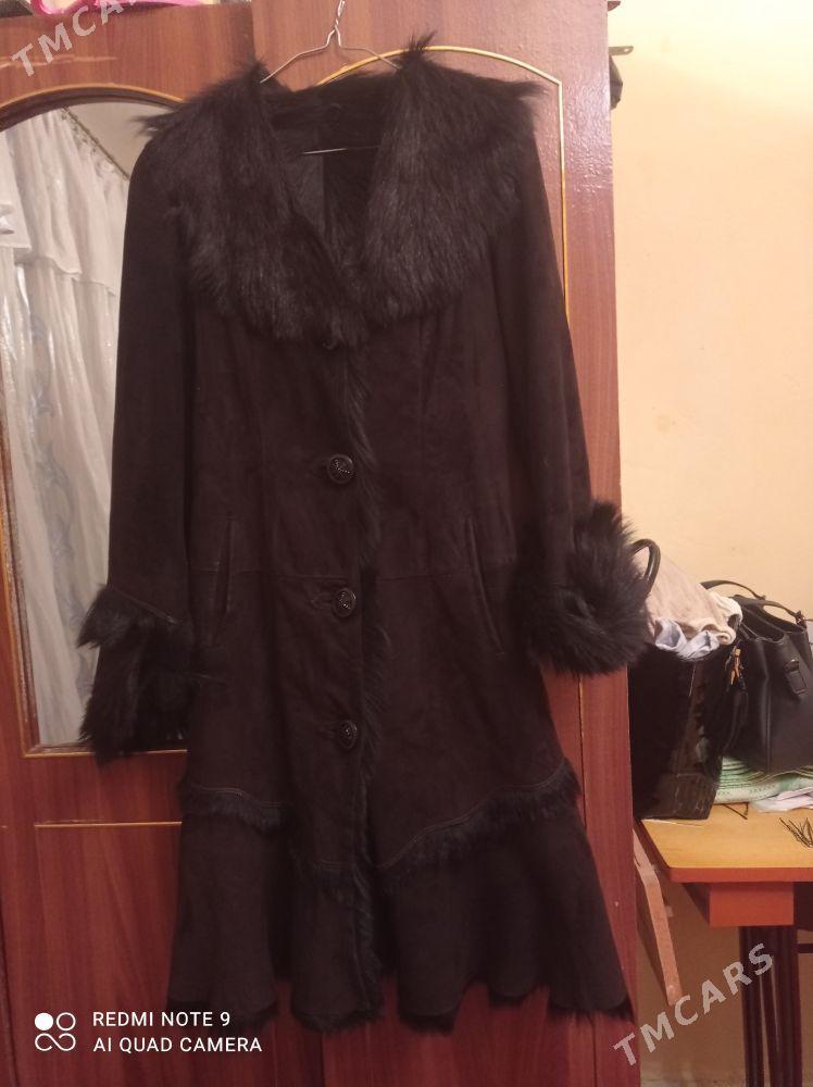 palto - Daşoguz - img 1