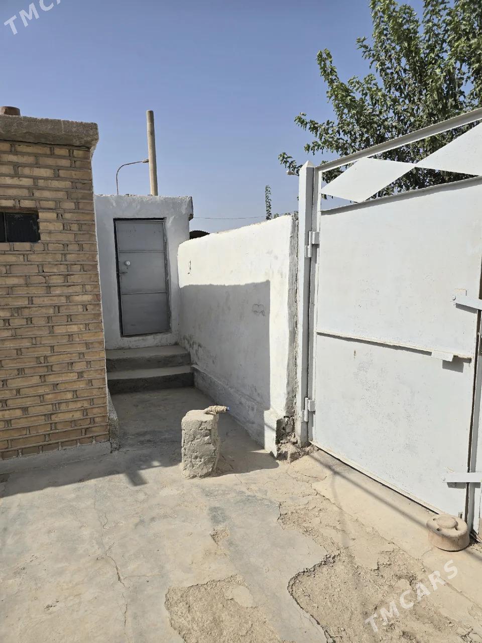 satlyk jay - Tejen - img 5