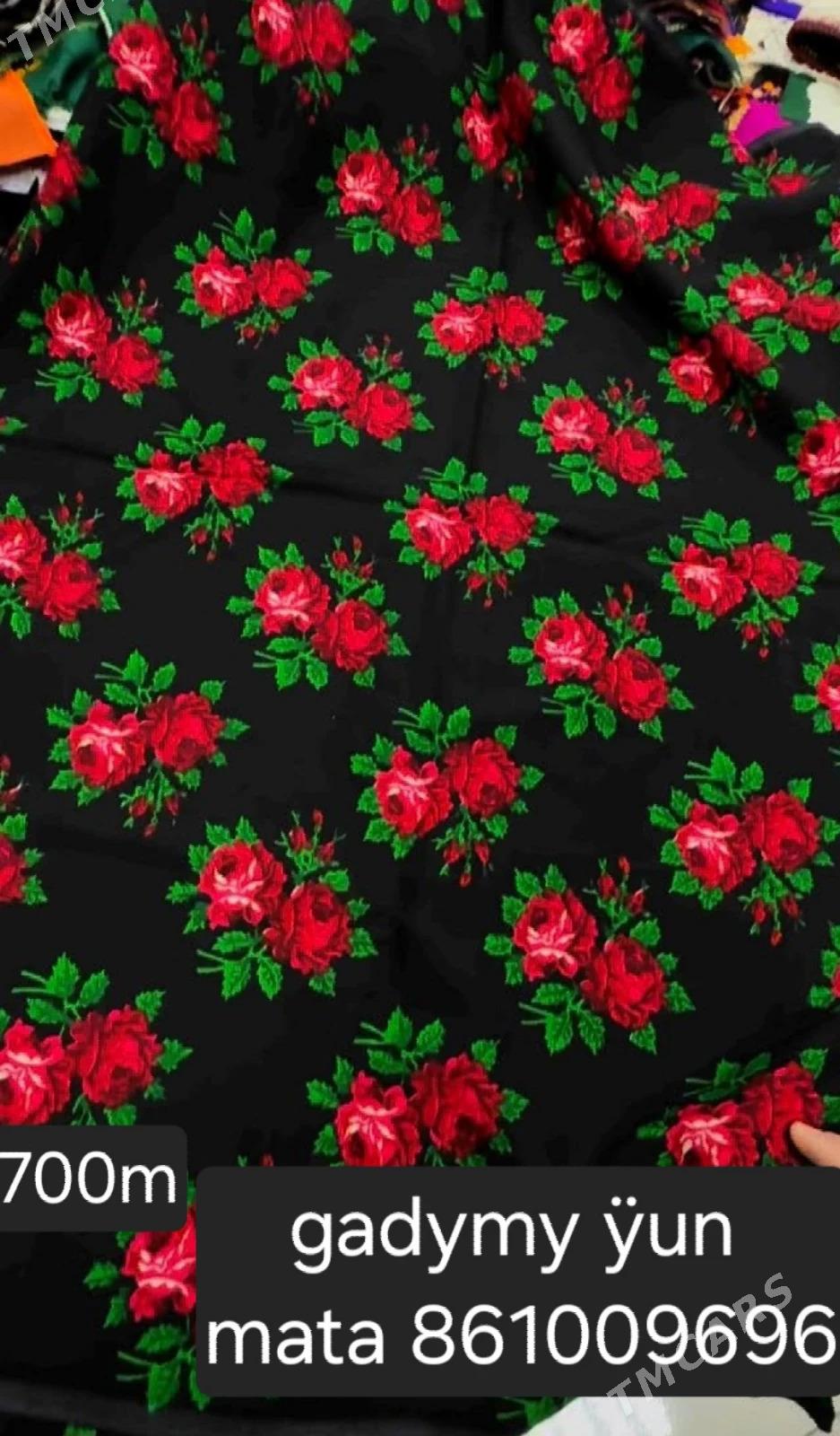 gadymy yun mata - Ашхабад - img 1