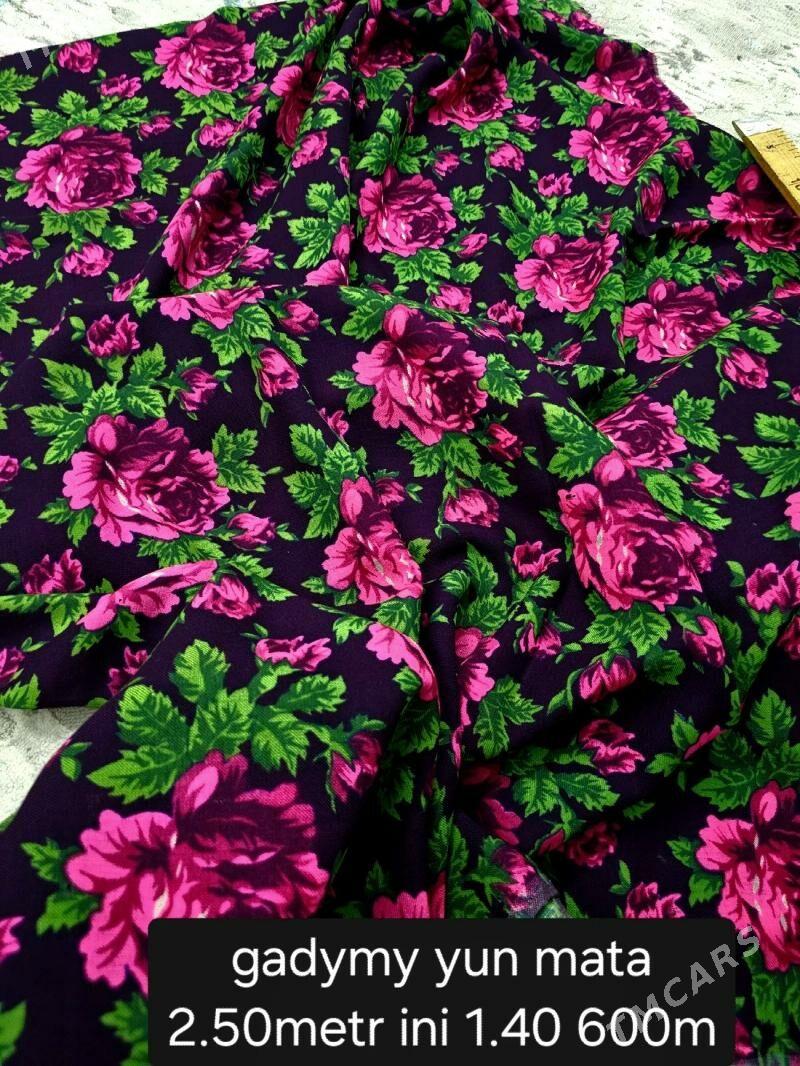 gadymy yun mata - Ашхабад - img 2