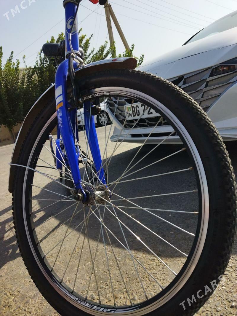 stels tigir - Hitrowka - img 4