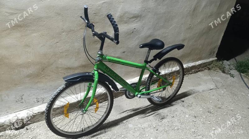 TIGIR.24 LIK. - Балканабат - img 4