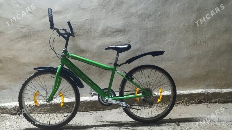 TIGIR.24 LIK. - Балканабат - img 2