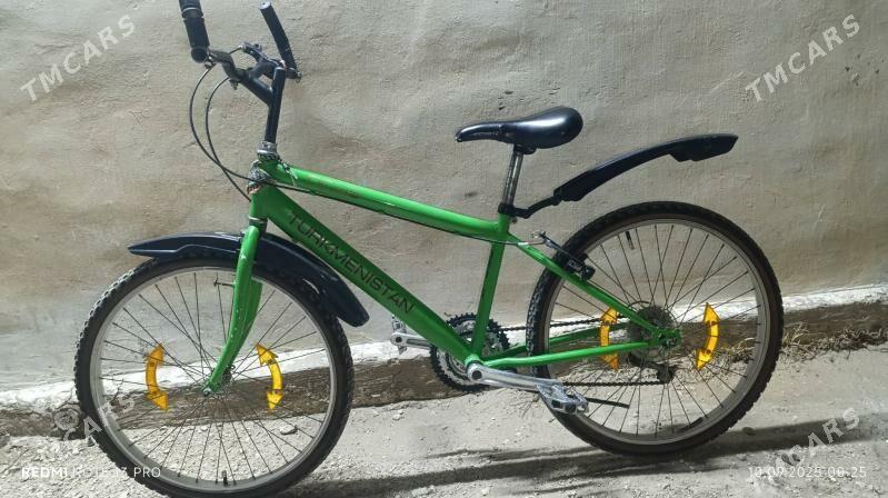 TIGIR.24 LIK. - Балканабат - img 3