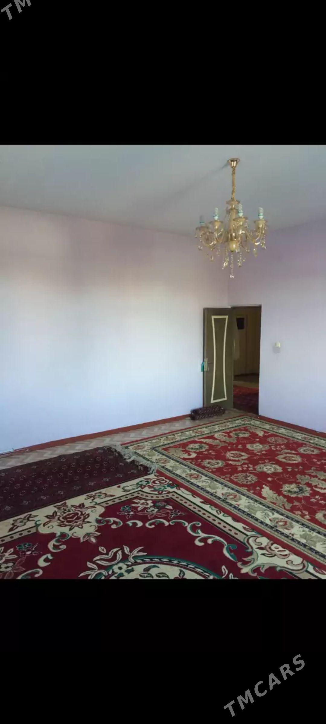 JAY SATYLYAR  Gorogly koce - Daşoguz - img 9