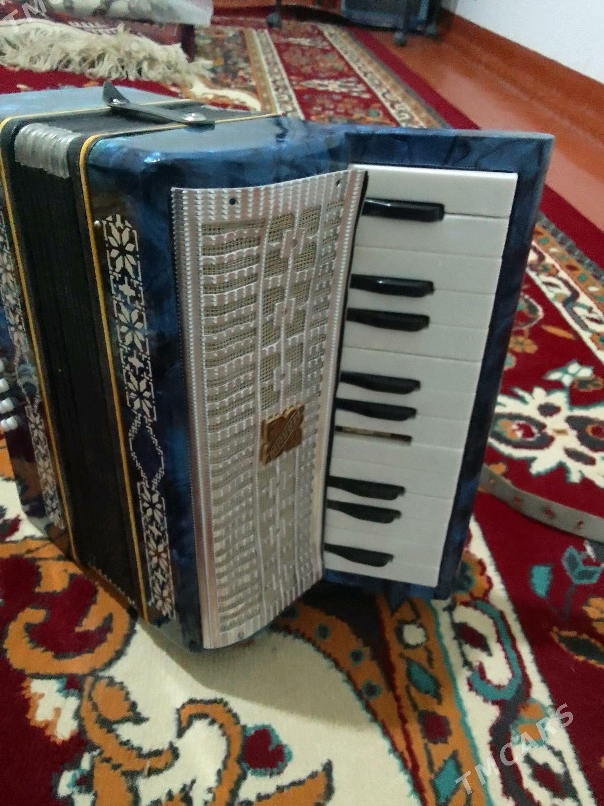 Akardion - Daşoguz - img 3