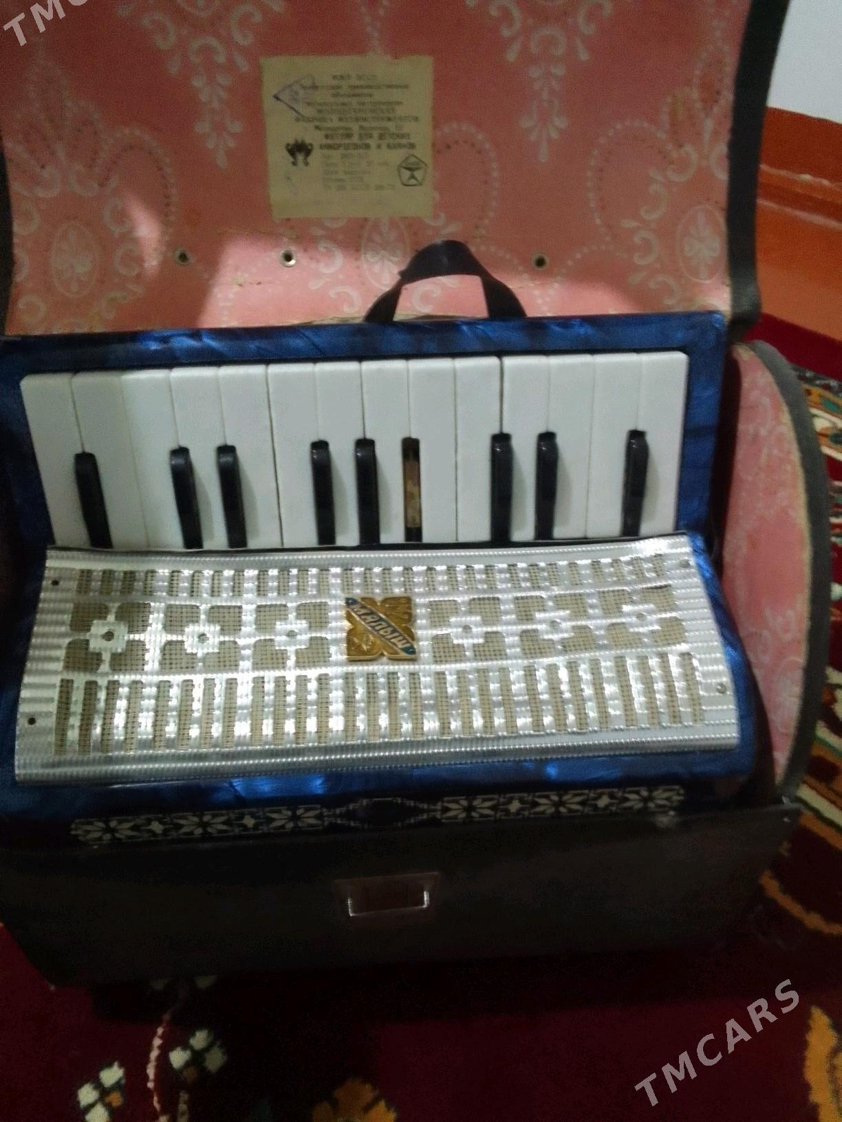 Akardion - Daşoguz - img 5