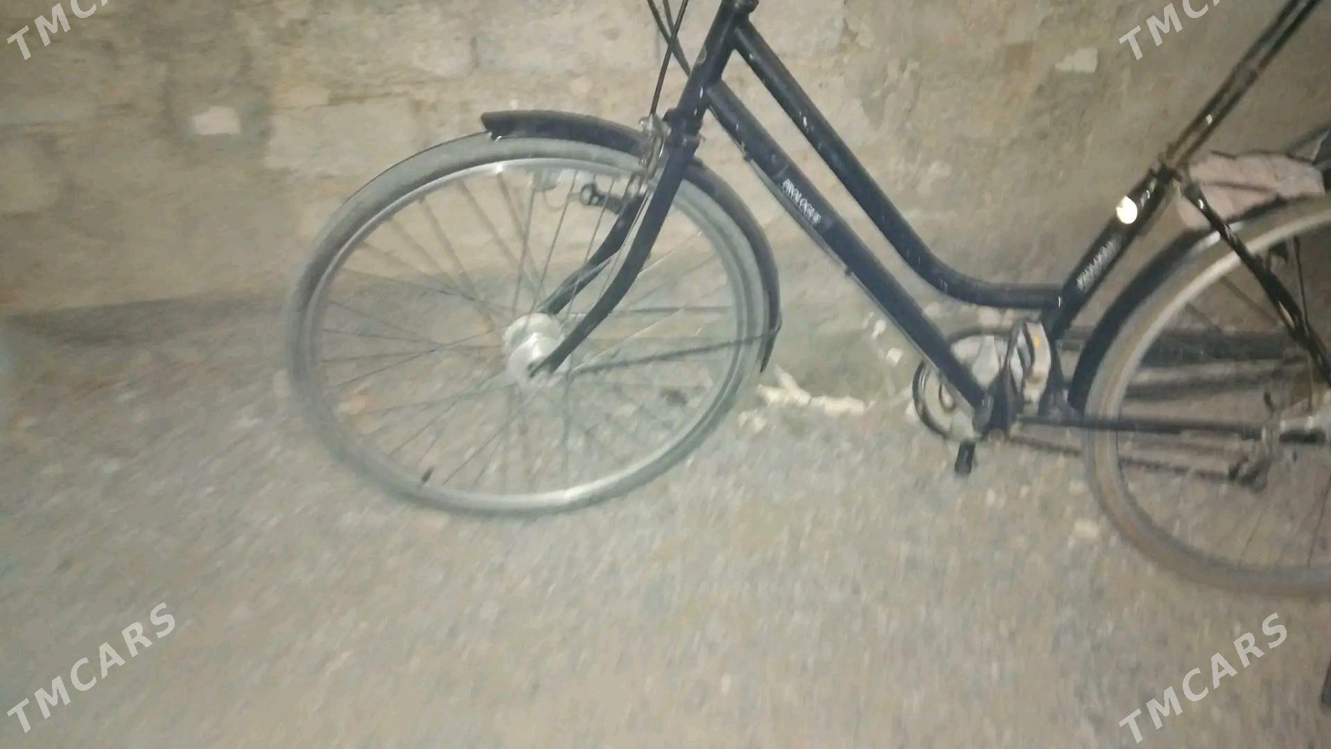 Tigir welosiped - Änew - img 3