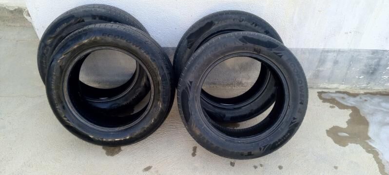 pakrişka 600 TMT - Яшлык - img 2