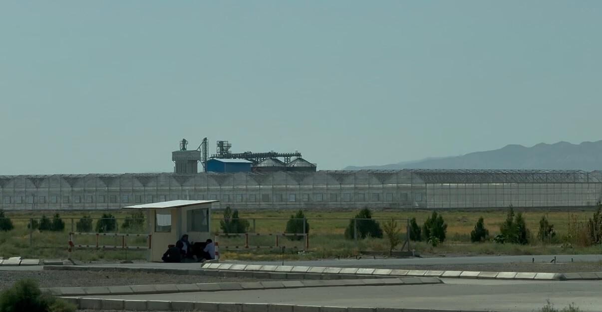 Gadyrly Pursat генератор gener - Aşgabat - img 6
