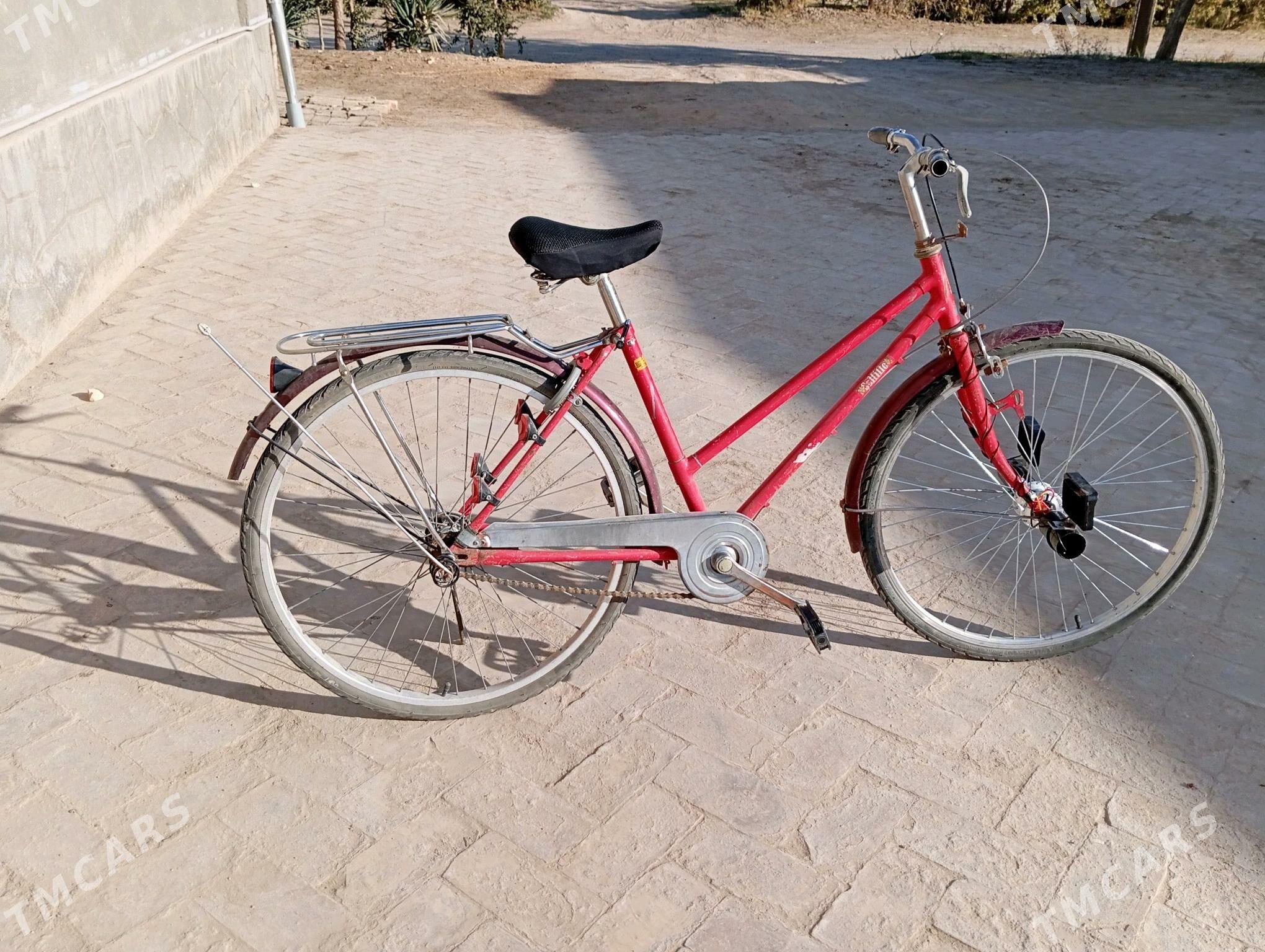 welsoped - Туркменгала - img 4