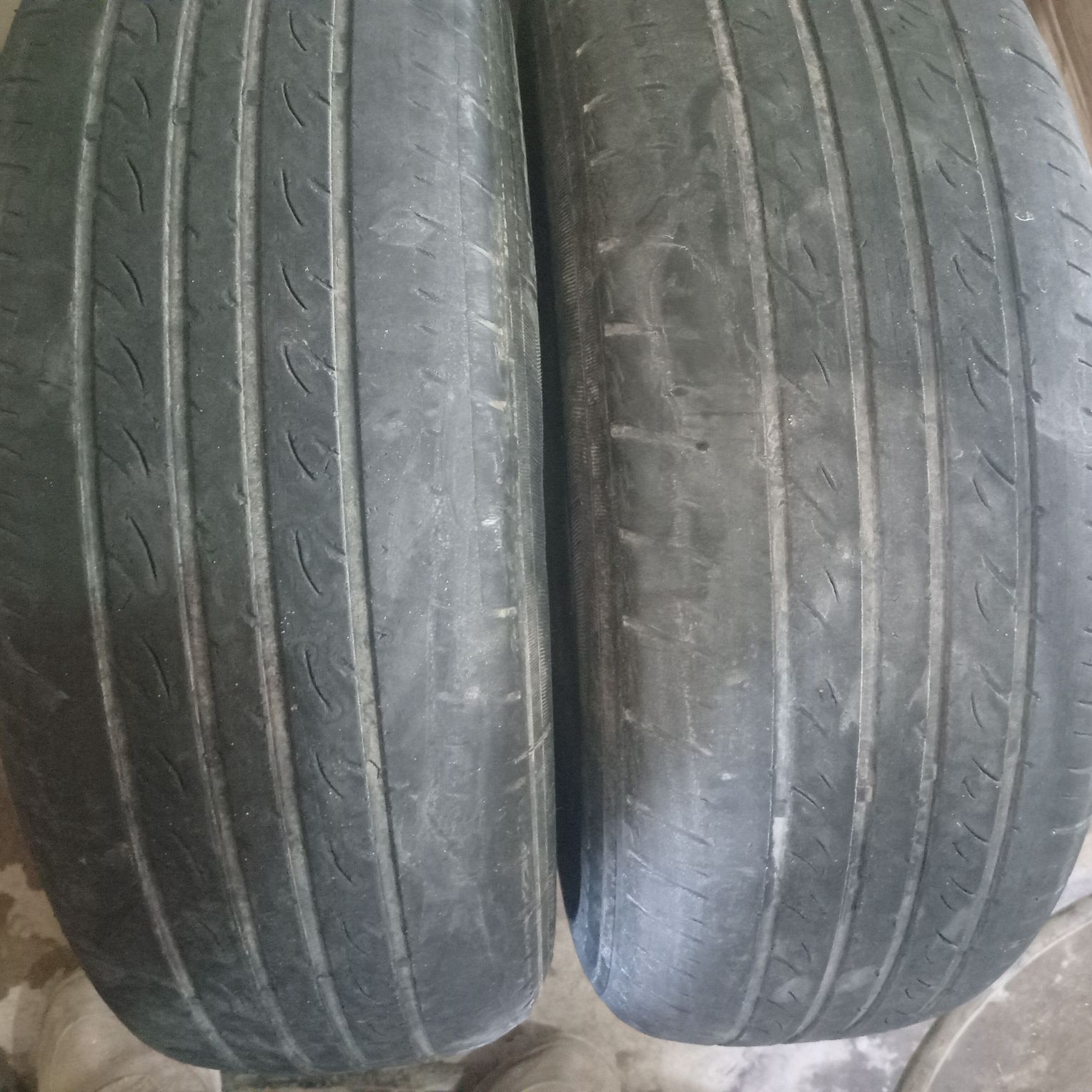 175.70..13..lik. bezkamir 420 TMT - Daşoguz - img 1