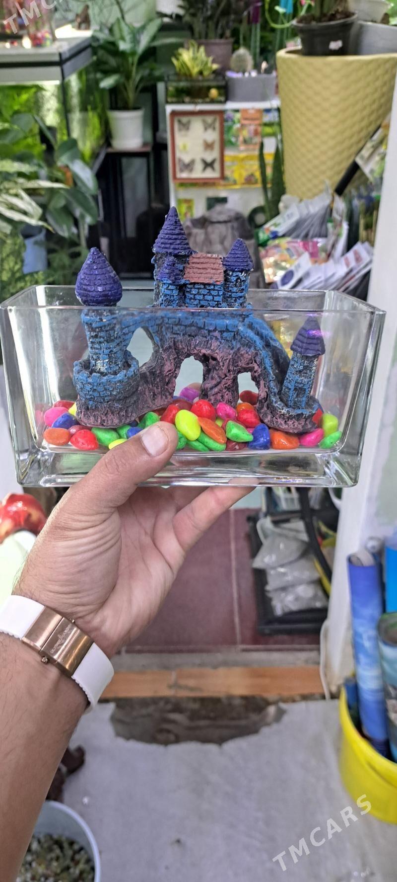 аквариум - Ашхабад - img 7