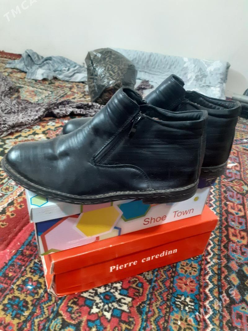 adik - Daşoguz - img 1