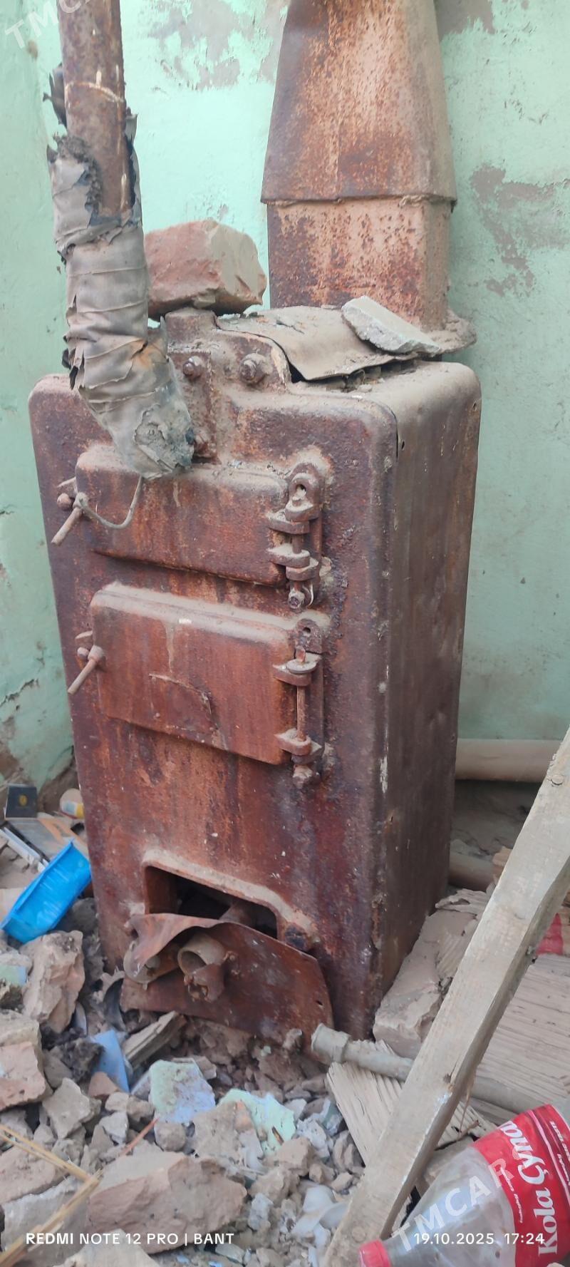 çoýun ataplenye kotyol - Mary - img 1