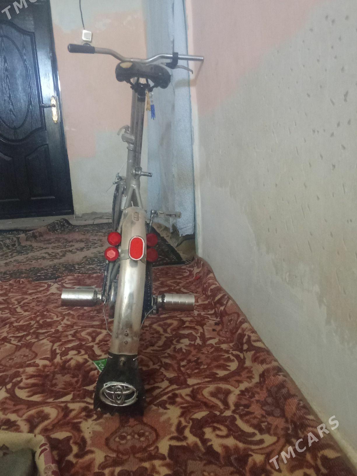 kama tigir - Tejen - img 2