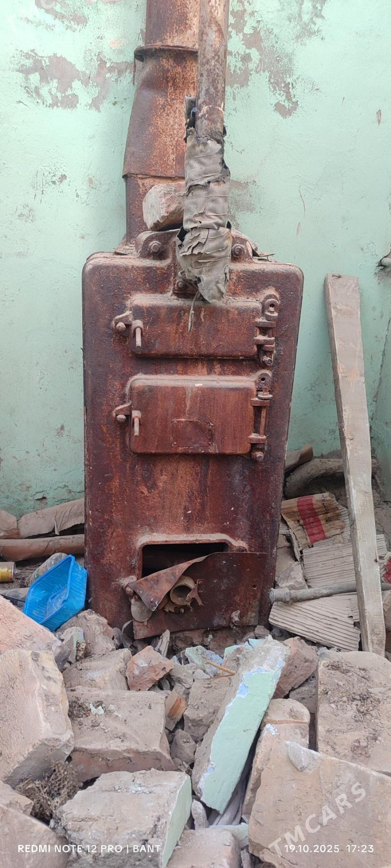 çoýun ataplenye kotyol - Mary - img 2