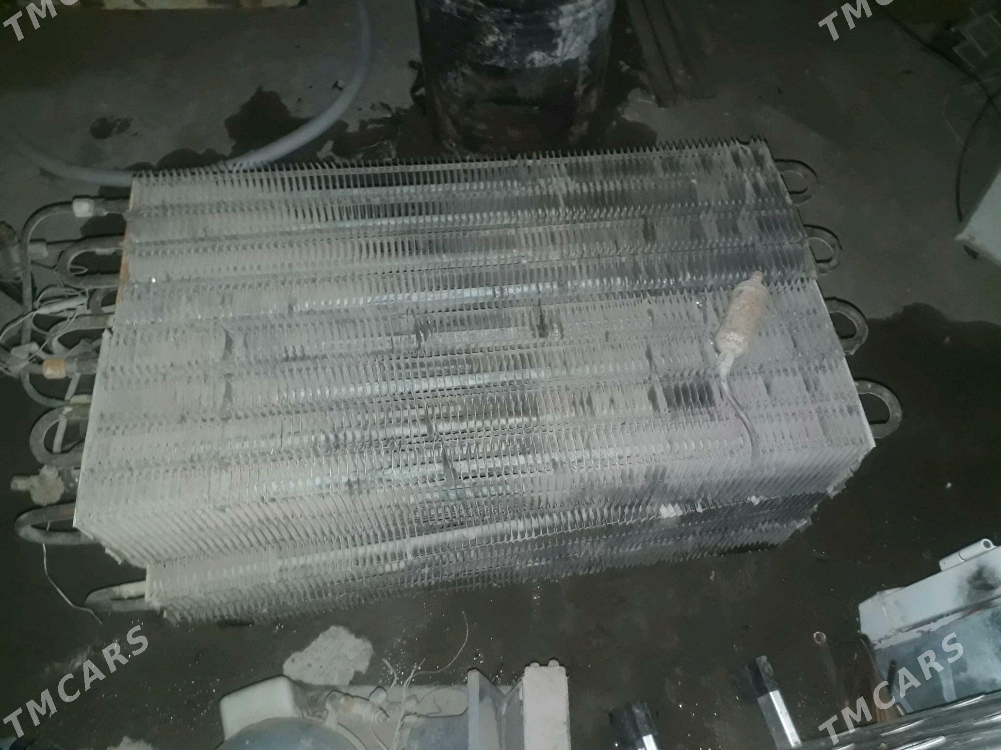 Radyatyr - Ak bugdaý etraby - img 2