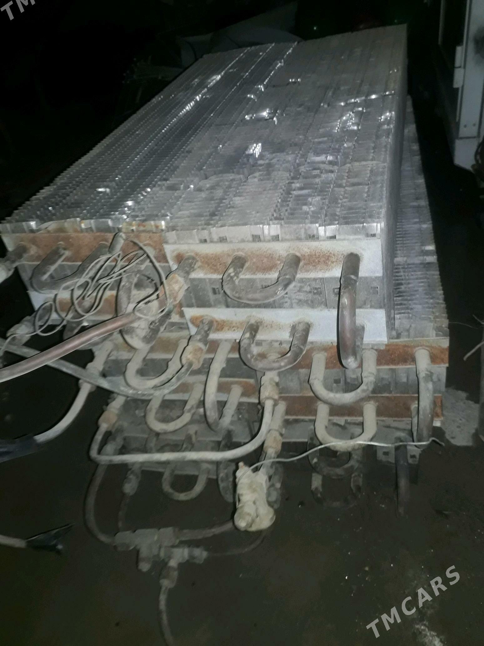 Radyatyr - Ak bugdaý etraby - img 1