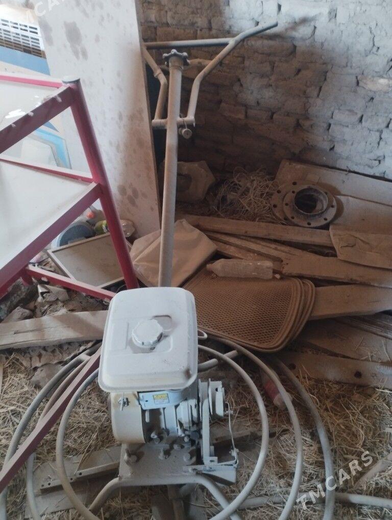 aligoptyr 60 lyk - Mary - img 1