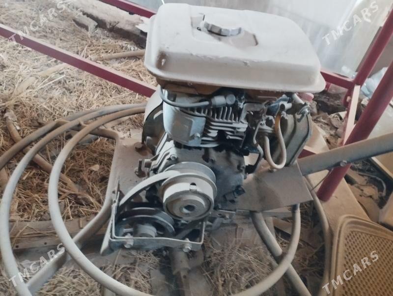 aligoptyr 60 lyk - Mary - img 4