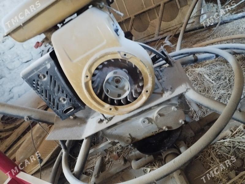 aligoptyr 60 lyk - Mary - img 2