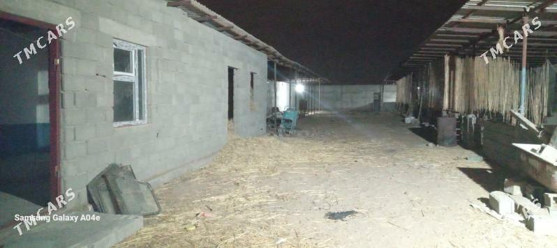 ýatak - Büzmeýin - img 5