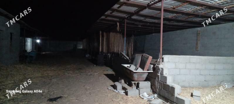 ýatak - Büzmeýin - img 6