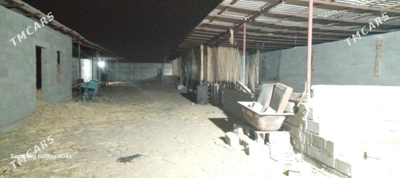 ýatak - Büzmeýin - img 7