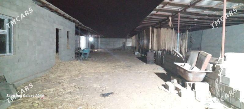 ýatak - Büzmeýin - img 2