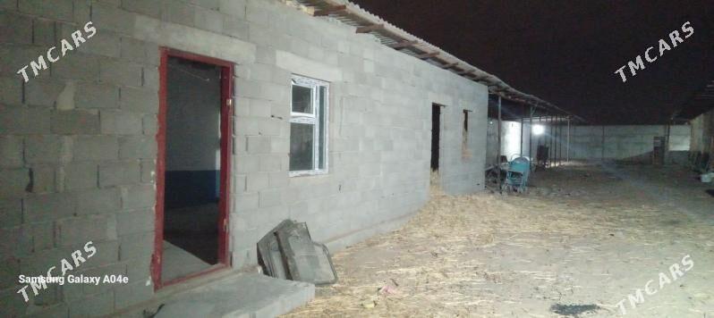 ýatak - Büzmeýin - img 3