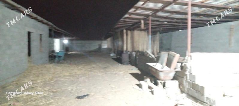 ýatak - Büzmeýin - img 4