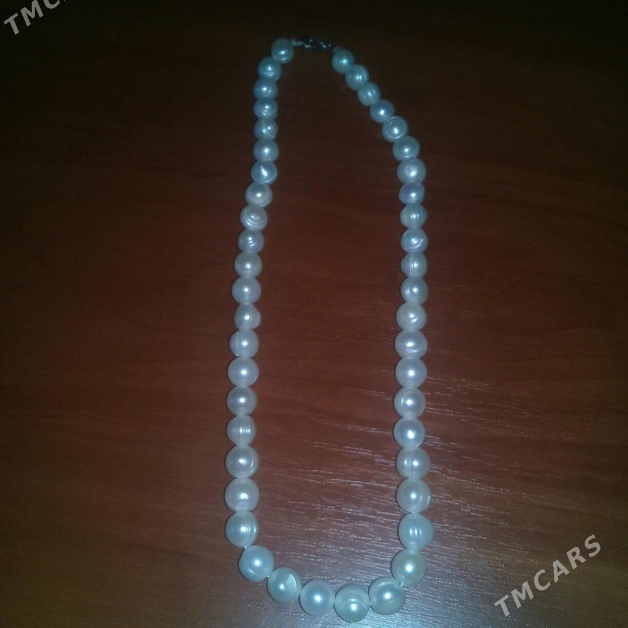 Altyn-kümüş - Daşoguz - img 2