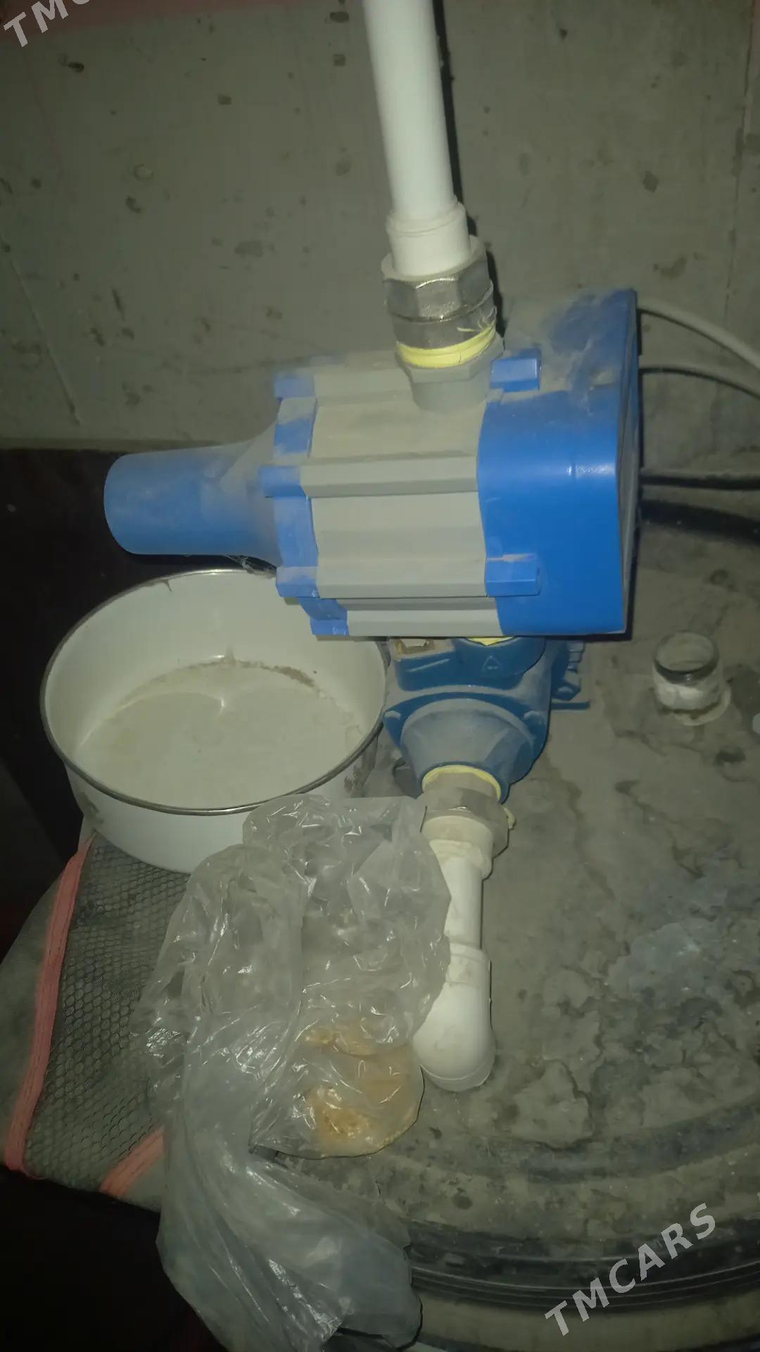 nasos - Mary - img 1