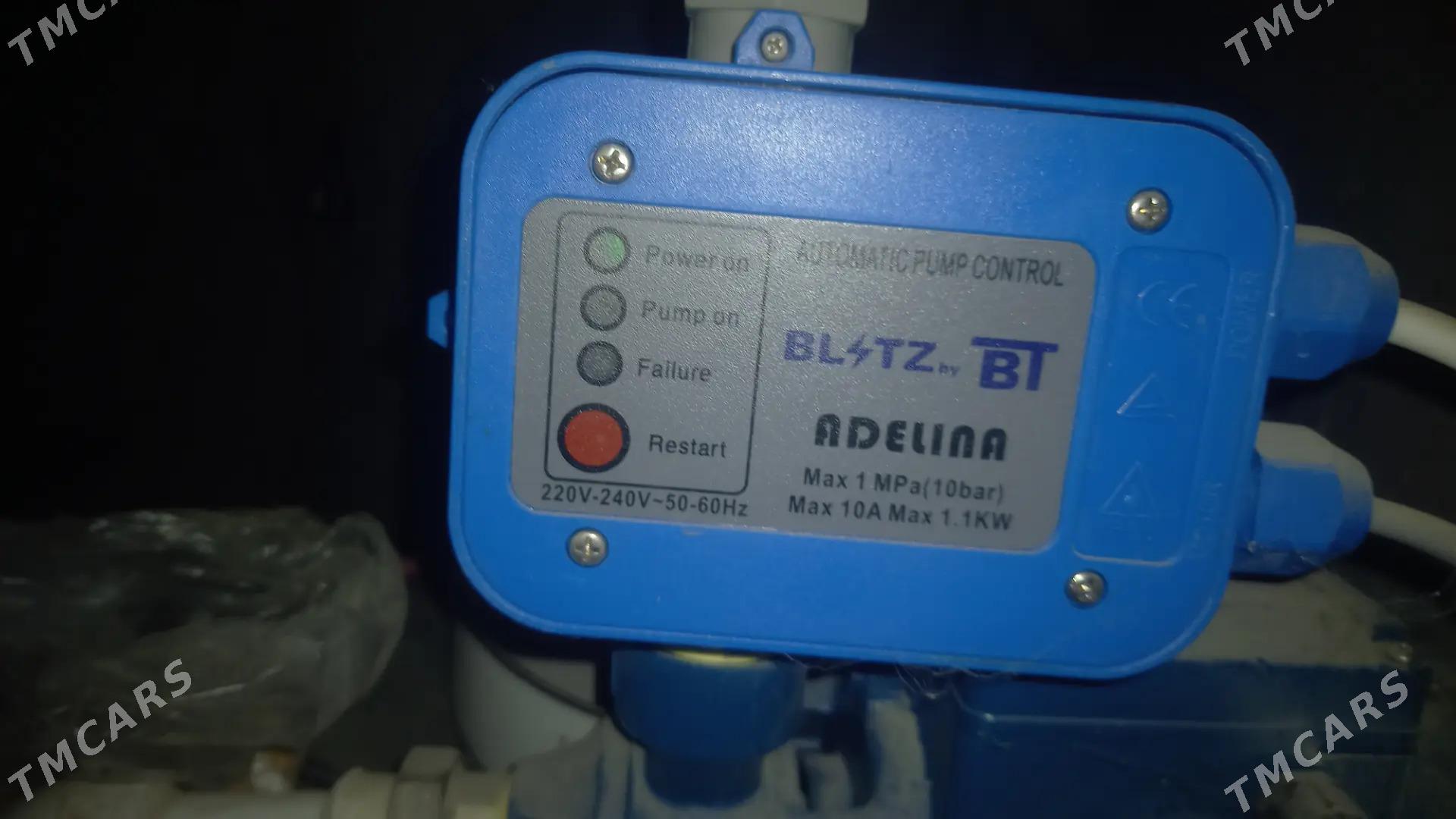 nasos - Mary - img 2