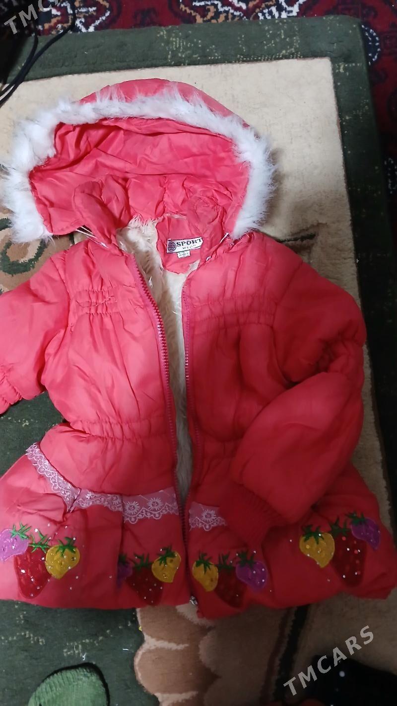 kurtkalar - Daşoguz - img 1