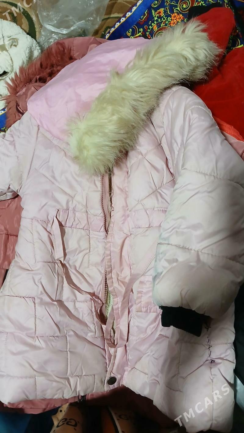 kurtkalar - Daşoguz - img 4