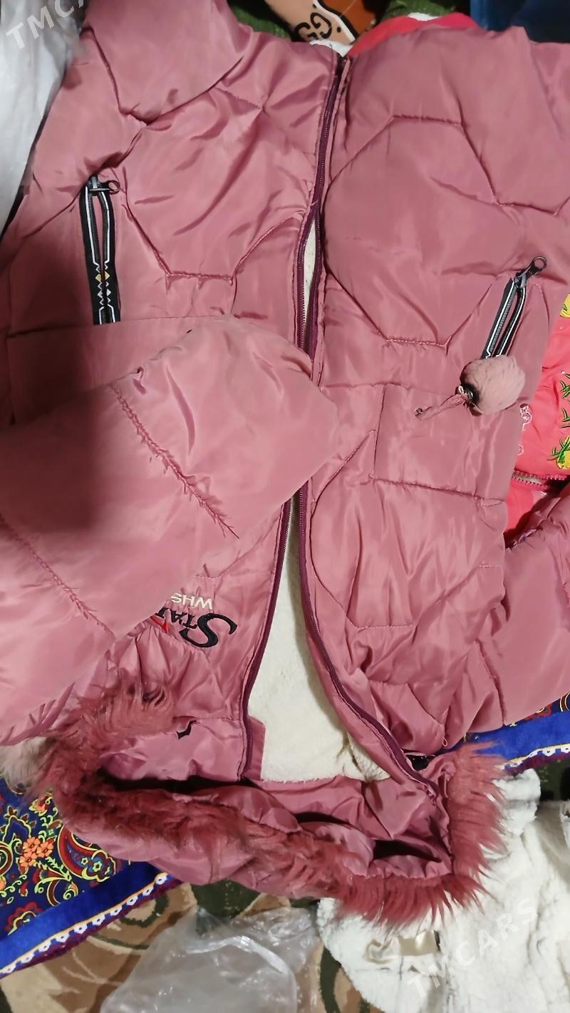 kurtkalar - Daşoguz - img 2