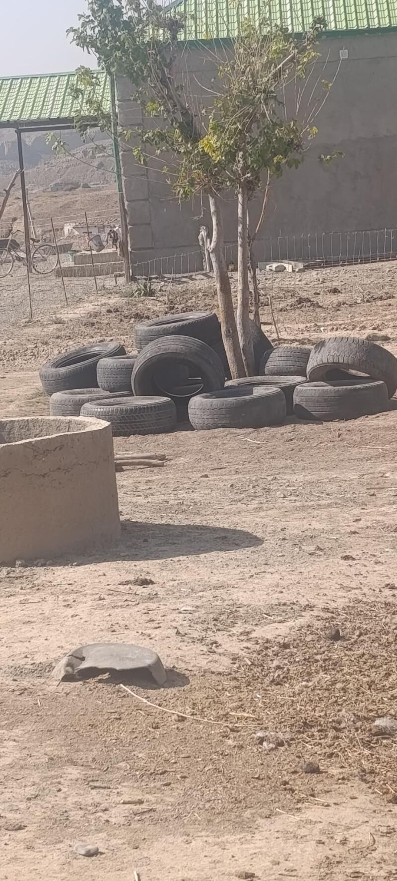 Prado 50 TMT - Magtymguly - img 2