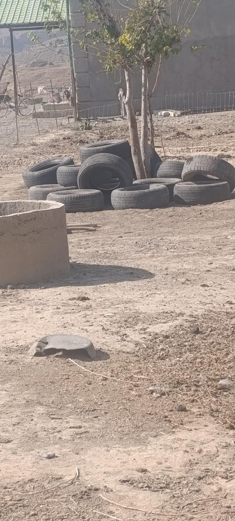 Prado 50 TMT - Magtymguly - img 3