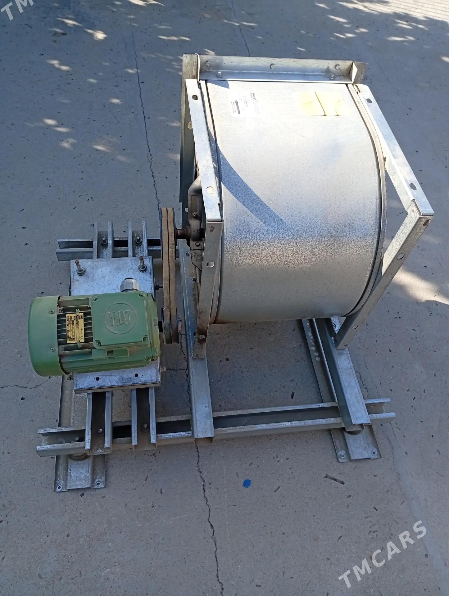 HOWALANDYRMA - Gurtly - img 3