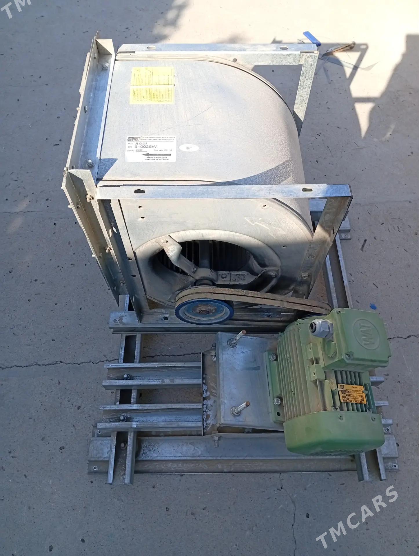 HOWALANDYRMA - Gurtly - img 4