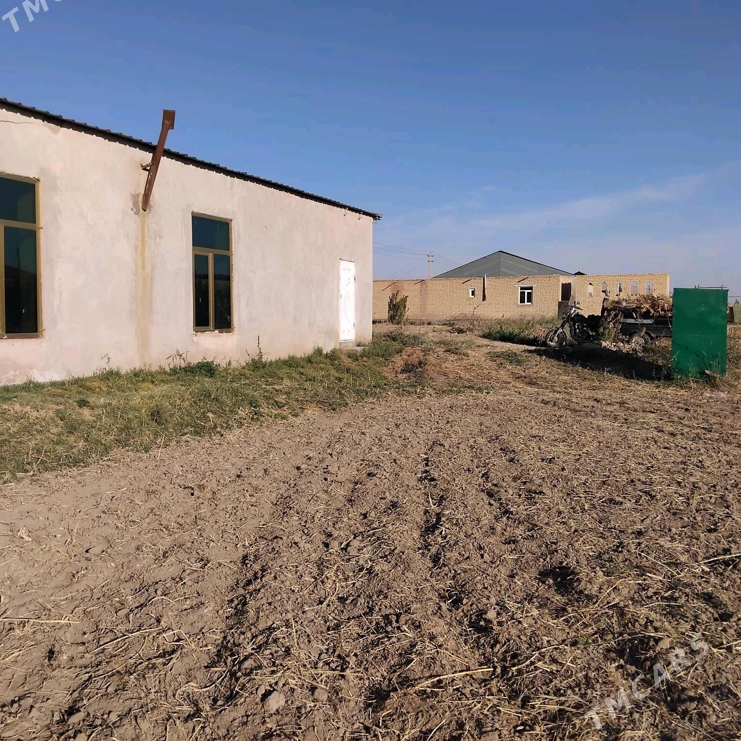 Сатлык жай. - Farap - img 3