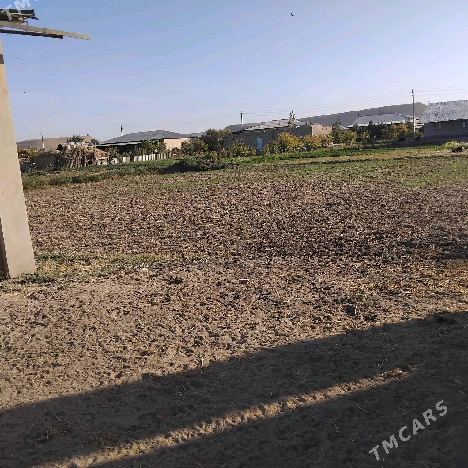 Сатлык жай. - Farap - img 4